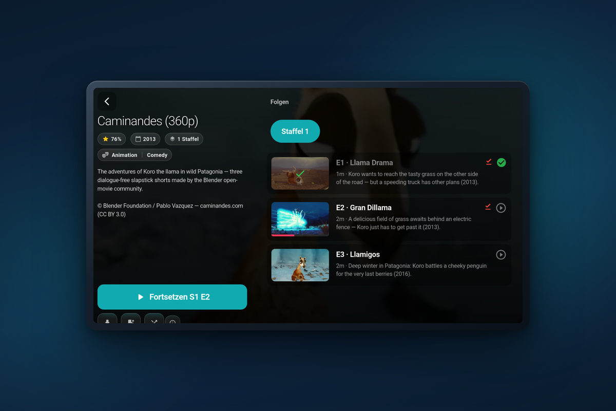 Tunvio auf dem Tablet: eine Serienseite mit Staffeln und Episoden