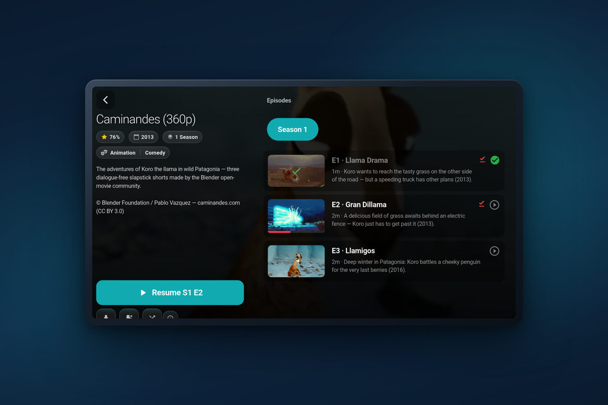 Tunvio on a tablet: a series page with seasons and episodes