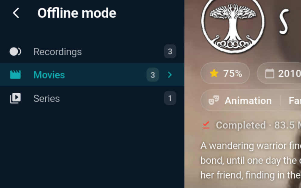 Counters for recordings and downloads with their storage use