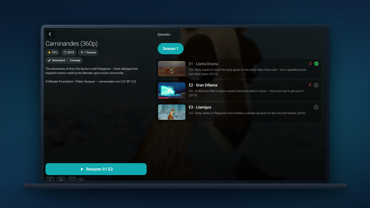A Tunvio series page on a laptop: seasons, episodes and resume