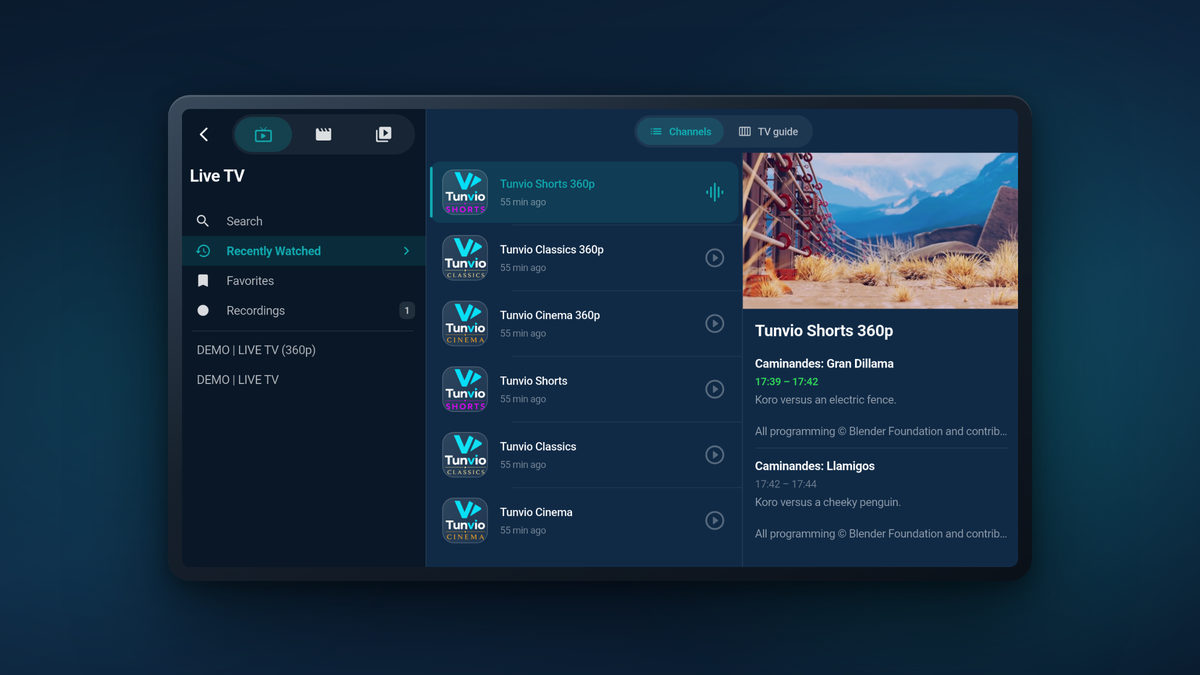 Tunvio on a tablet: live TV with the channel list