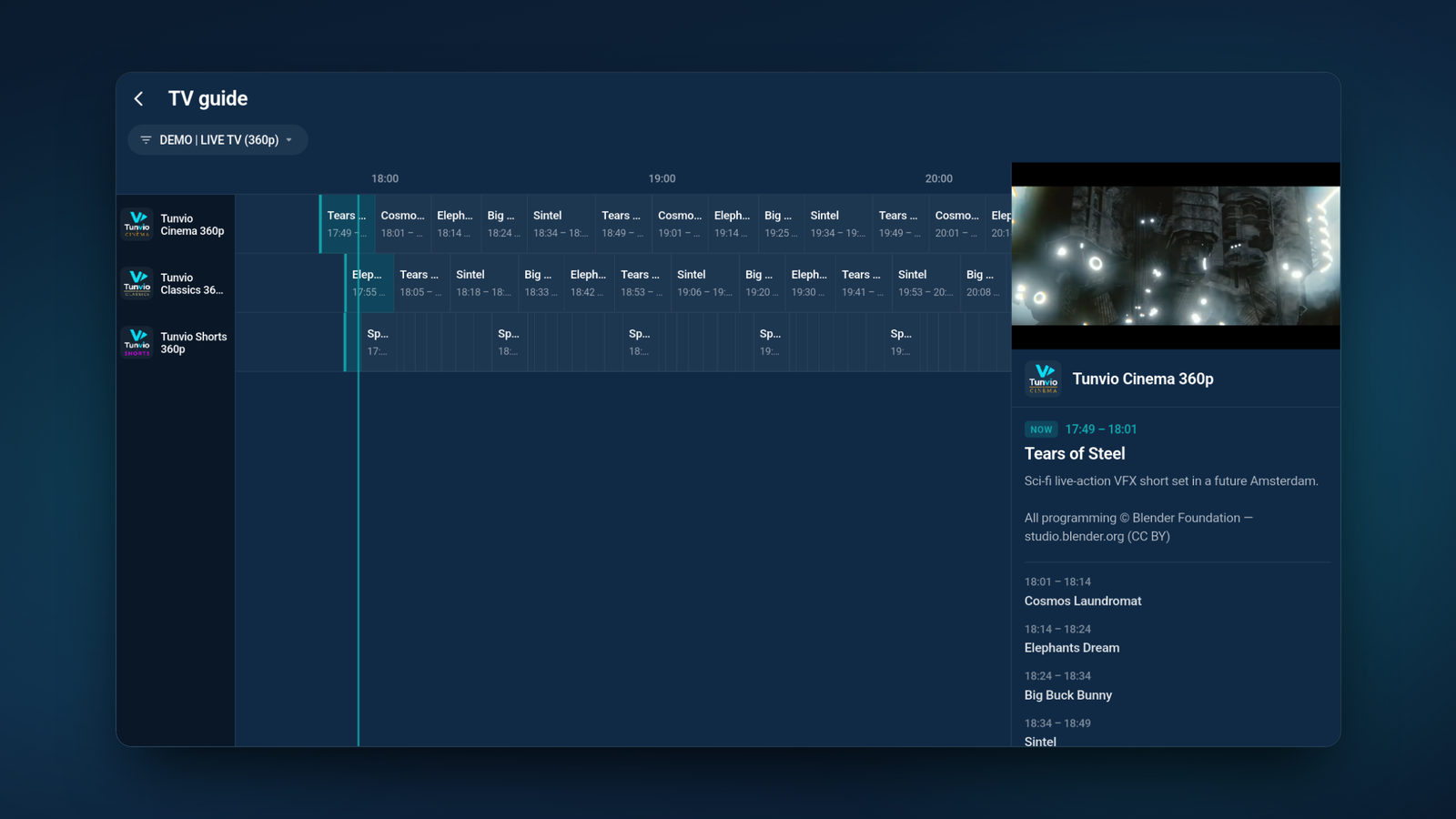 Tunvio TV guide: channel grid with time slots and a live preview
