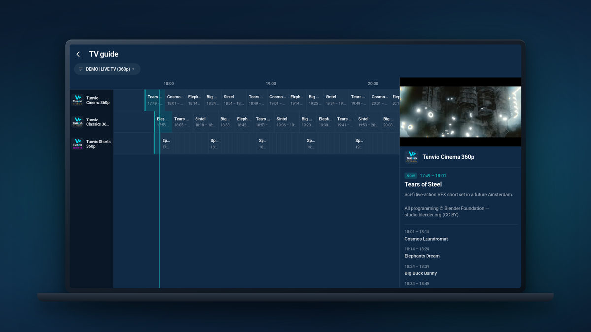 The Tunvio TV guide on a laptop: a channel grid with time slots